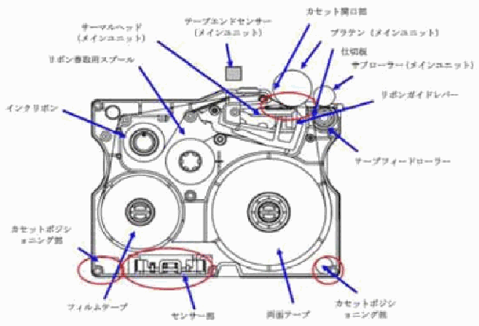 関連画像