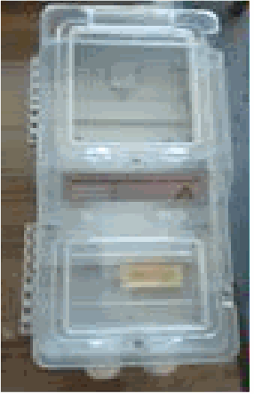 関連画像